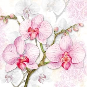 German Decoupage Napkins (5 pcs) - Liliac Orchids