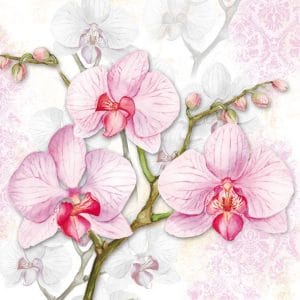 German Decoupage Napkins (5 pcs) - Liliac Orchids