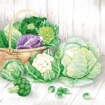 German Decoupage Napkins (5 pcs)  - Watercolor Vegetables