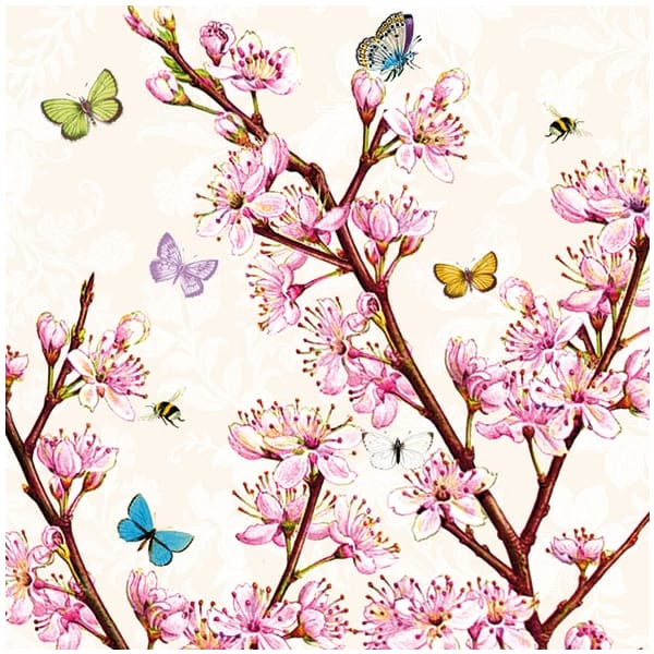 German Decoupage Napkins (5 pcs) - Blossom Cream