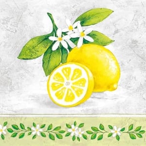 German Decoupage Napkins (5 pcs) - Lemon Branch