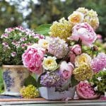 German Decoupage Napkins (5 pcs)  - Peony Arrangements