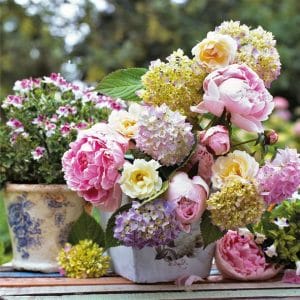 German Decoupage Napkins (5 pcs) - Peony Arrangements