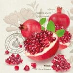 German Decoupage Napkins (5 pcs)  - Pomegranate Fruits