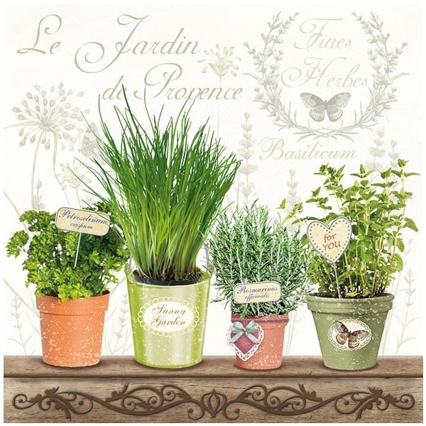 German Decoupage Napkins (5 pcs) - Plant Pots