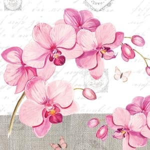 A pack of 12 by 12 inch German Decoupage Napkins (5 pcs) - Orchids with Love