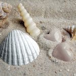 German Decoupage Napkins (5 pcs)  - Hearts in Sand