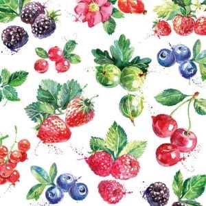 A pack of 12 by 12 inch German Decoupage Napkins (5 pcs) - Mixed Fruit