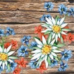 A pack of 12 by 12 inch German Decoupage Napkins (5 pcs)  - Alpen Blumen