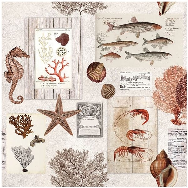 German Decoupage Napkins (5 pcs) - Vintage Shells