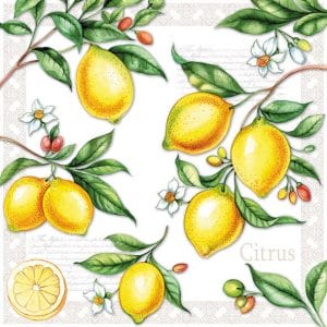 German Decoupage Napkins (5 pcs) - Lemons