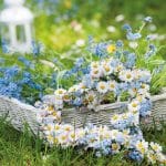 German Decoupage Napkins (5 pcs)  - Flower Heart