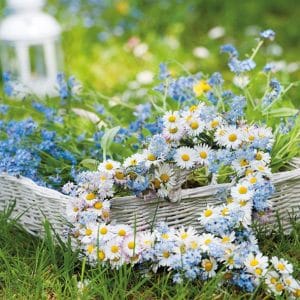 German Decoupage Napkins (5 pcs) - Flower Heart