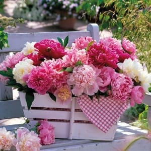 German Decoupage Napkins (5 pcs) - Peonies in Basket