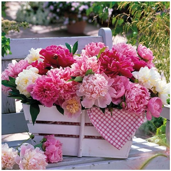 German Decoupage Napkins (5 pcs) - Peonies in Basket