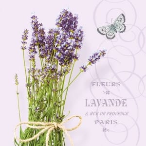 German Decoupage Napkins (5 pcs) - Lavendar