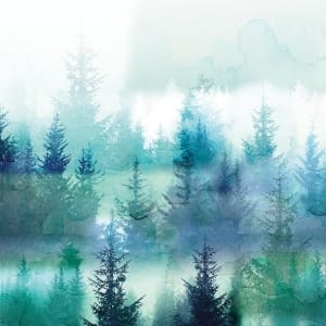 German Decoupage Napkins (5 pcs) - Pine Forest