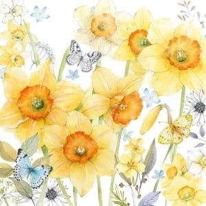 German Decoupage Napkins (5 pcs) - Classic Daffodils