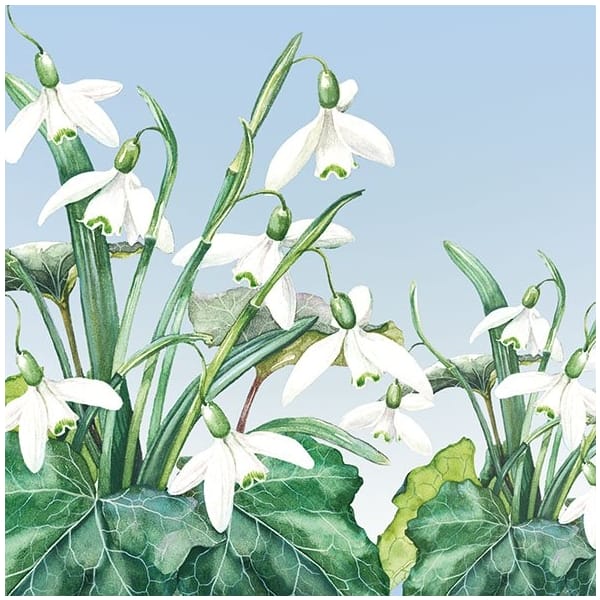 German Decoupage Napkins (5 pcs) - Snowdrops Flowers