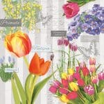 German Decoupage Napkins (5 pcs)  - Spring Flowers
