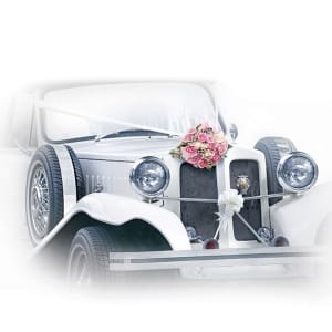 German Decoupage Napkins (5 pcs) - Wedding Car