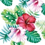 German Decoupage Napkins (5 pcs)  - HIbiscus Flower White