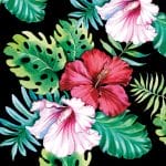 German Decoupage Napkins (5 pcs)  - HIbiscus Flower Black