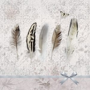 German Decoupage Napkins (5 pcs) - Feathers