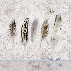 German Decoupage Napkins (5 pcs) - Feathers