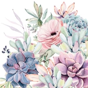German Decoupage Napkins (5 pcs) - Succulent Love