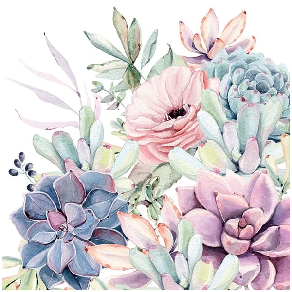 German Decoupage Napkins (5 pcs) - Succulent Love