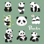 German Decoupage Napkins (5 pcs)  - Pandas