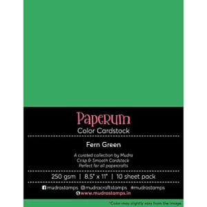 Mudra Paperum cardstock (8.5 by 11 inches) (250 gsm) (Set of 10 sheets) - Fern Green