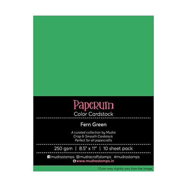 Mudra Paperum cardstock (8.5 by 11 inches) (250 gsm) (Set of 10 sheets) - Fern Green