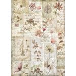 Stamperia Rice Paper A4 - Pressed Flowers