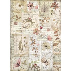 Stamperia Rice Paper A4 - Pressed Flowers