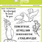 Tubby Photopolymer Clear Stamps - Bird Get Well Soon