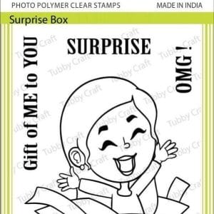 Tubby Photopolymer Clear Stamps - Surprise Box