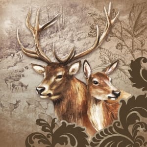 A pack of 12 by 12 inch German Decoupage Napkins ( 5 pcs ) - Deer Couple Brown