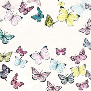 A pack of 12 by 12 inch German Decoupage Napkins (5 pcs) - Butterfly with White Background