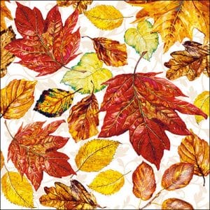 German Decoupage Napkins (5 pcs) - Leaves (13311095)