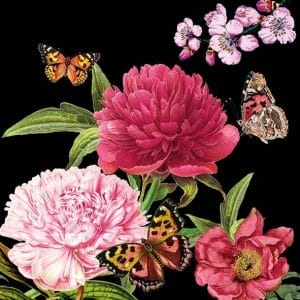 German Decoupage Napkins (5 pcs) - Peonine Black Flowers