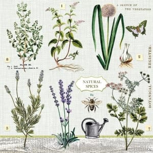 German Decoupage Napkins (5 pcs) - Herbs Garden