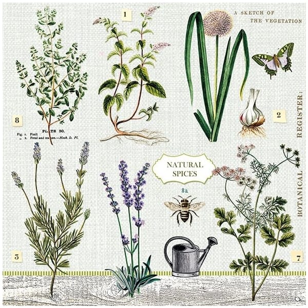 German Decoupage Napkins (5 pcs) - Herbs Garden