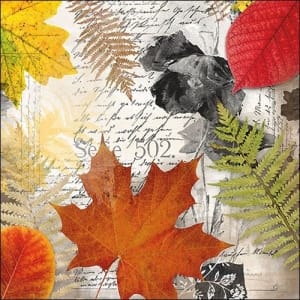 German Decoupage Napkins (5 pcs) - Leaves on Letter