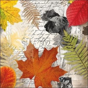 German Decoupage Napkins (5 pcs) - Leaves on Letter