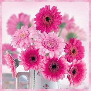 German Decoupage Napkins (5 pcs) - Pink Gerberas