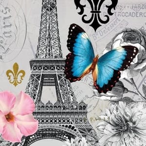 German Decoupage Napkins (5 pcs) - Ici Paris