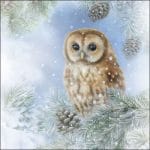 German Decoupage Napkins (5 pcs)  - Tawny Owl (Christmas)