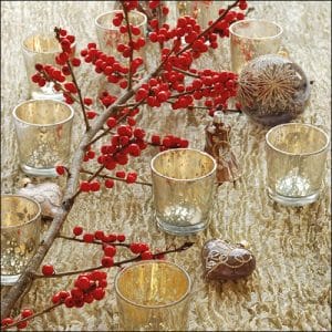 German Decoupage Napkins (5 pcs) - Red Berries